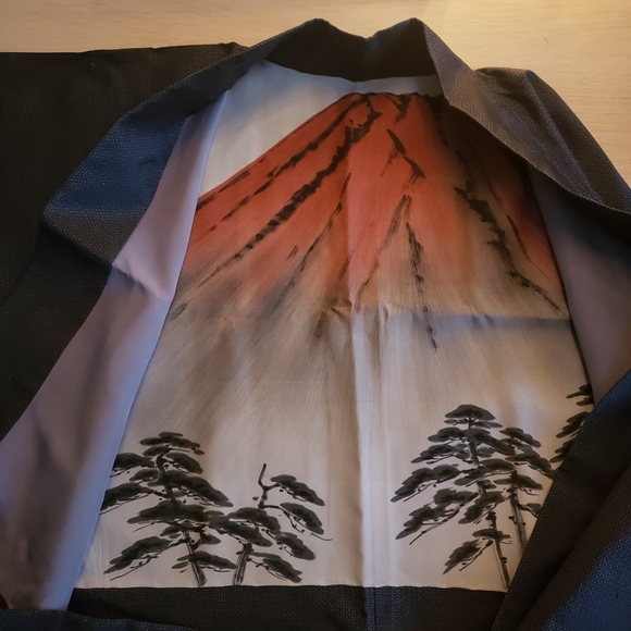 Silk Kimono with Fuji Mountain Details - Picture 6 of 7